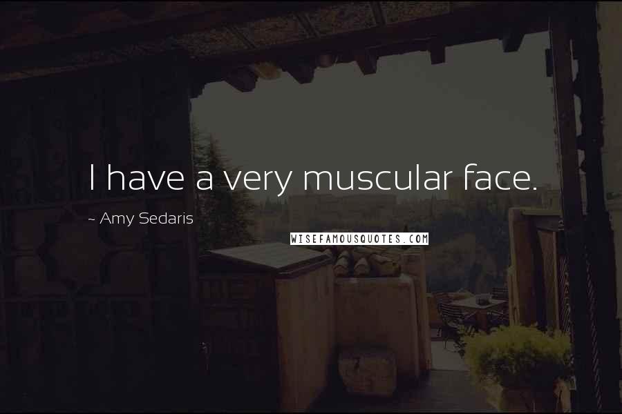 Amy Sedaris Quotes: I have a very muscular face.