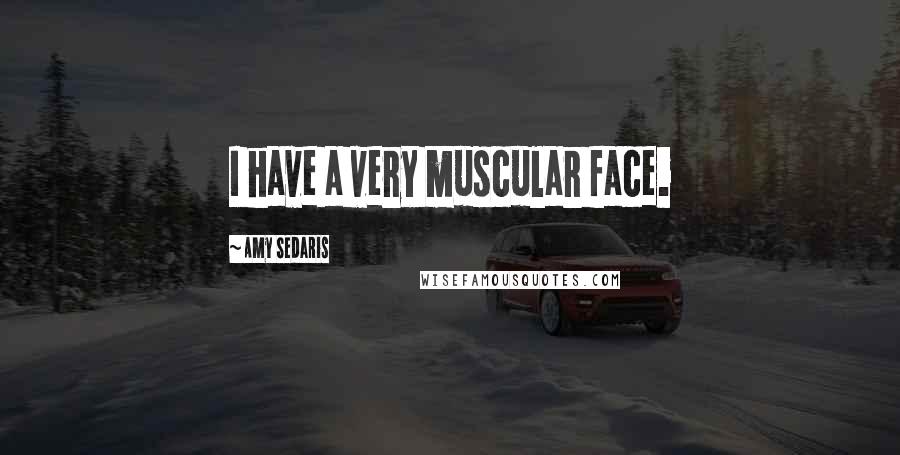 Amy Sedaris Quotes: I have a very muscular face.