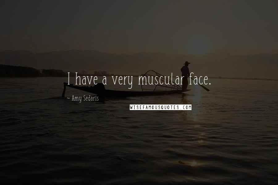 Amy Sedaris Quotes: I have a very muscular face.