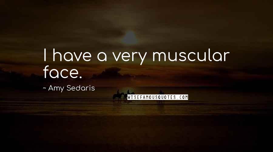 Amy Sedaris Quotes: I have a very muscular face.
