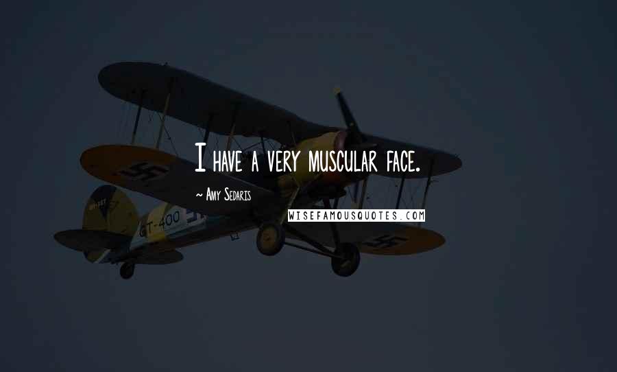 Amy Sedaris Quotes: I have a very muscular face.