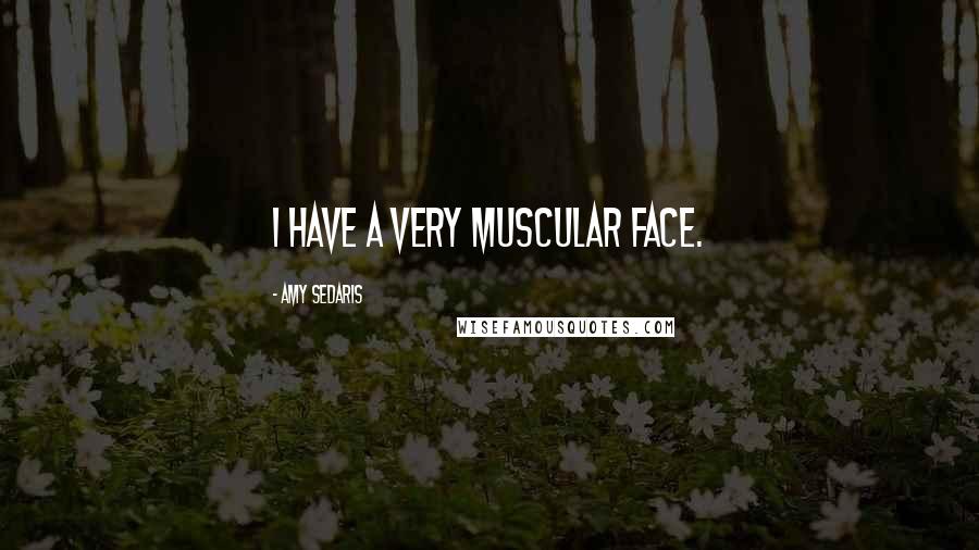 Amy Sedaris Quotes: I have a very muscular face.