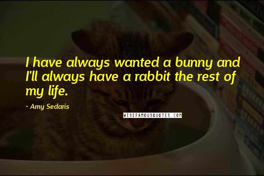 Amy Sedaris Quotes: I have always wanted a bunny and I'll always have a rabbit the rest of my life.