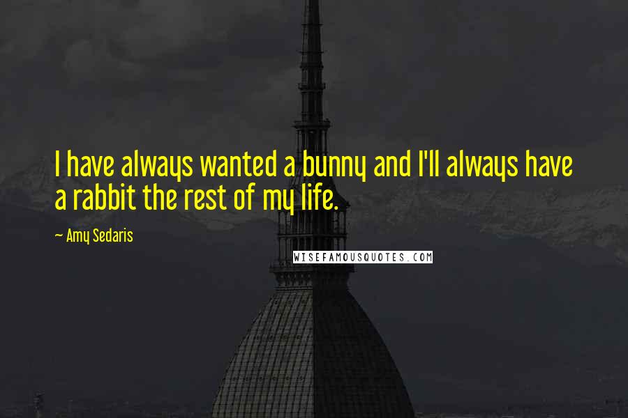 Amy Sedaris Quotes: I have always wanted a bunny and I'll always have a rabbit the rest of my life.