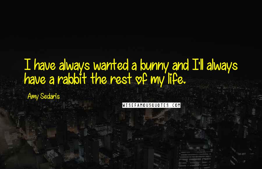 Amy Sedaris Quotes: I have always wanted a bunny and I'll always have a rabbit the rest of my life.