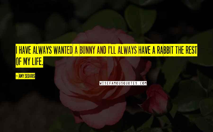 Amy Sedaris Quotes: I have always wanted a bunny and I'll always have a rabbit the rest of my life.