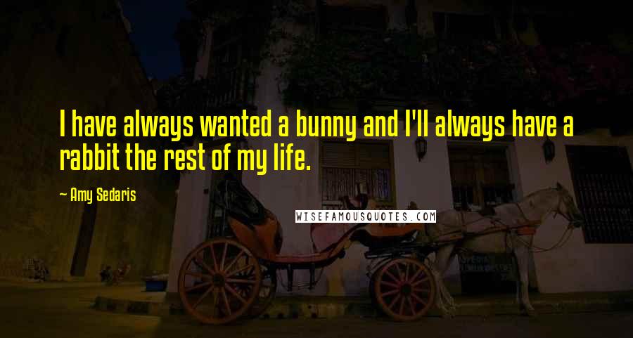 Amy Sedaris Quotes: I have always wanted a bunny and I'll always have a rabbit the rest of my life.