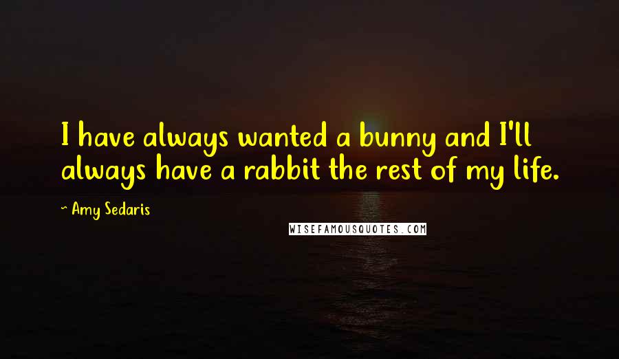 Amy Sedaris Quotes: I have always wanted a bunny and I'll always have a rabbit the rest of my life.