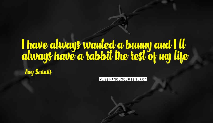 Amy Sedaris Quotes: I have always wanted a bunny and I'll always have a rabbit the rest of my life.