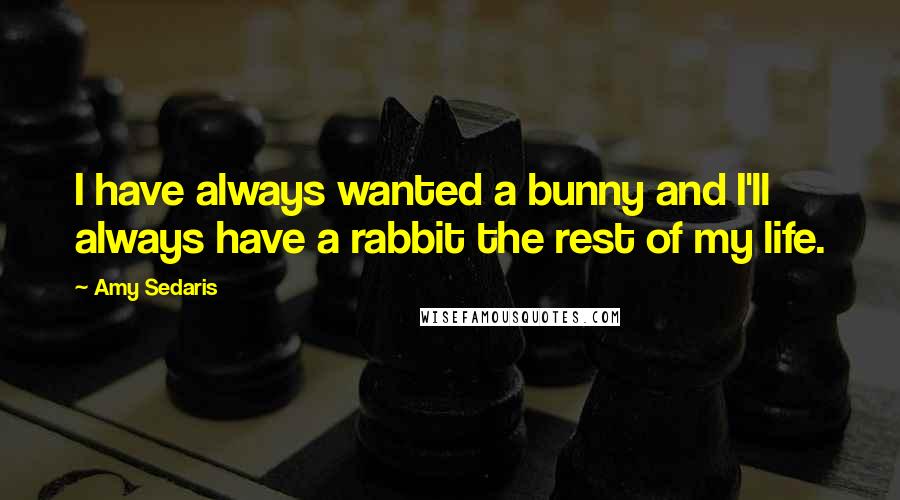 Amy Sedaris Quotes: I have always wanted a bunny and I'll always have a rabbit the rest of my life.