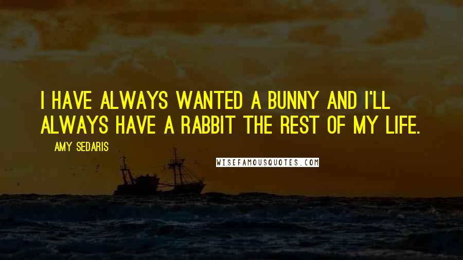 Amy Sedaris Quotes: I have always wanted a bunny and I'll always have a rabbit the rest of my life.
