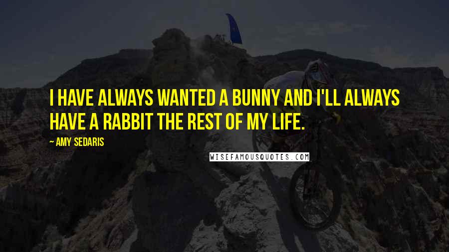 Amy Sedaris Quotes: I have always wanted a bunny and I'll always have a rabbit the rest of my life.