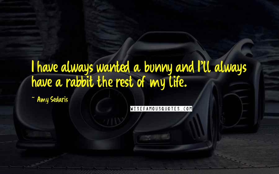 Amy Sedaris Quotes: I have always wanted a bunny and I'll always have a rabbit the rest of my life.