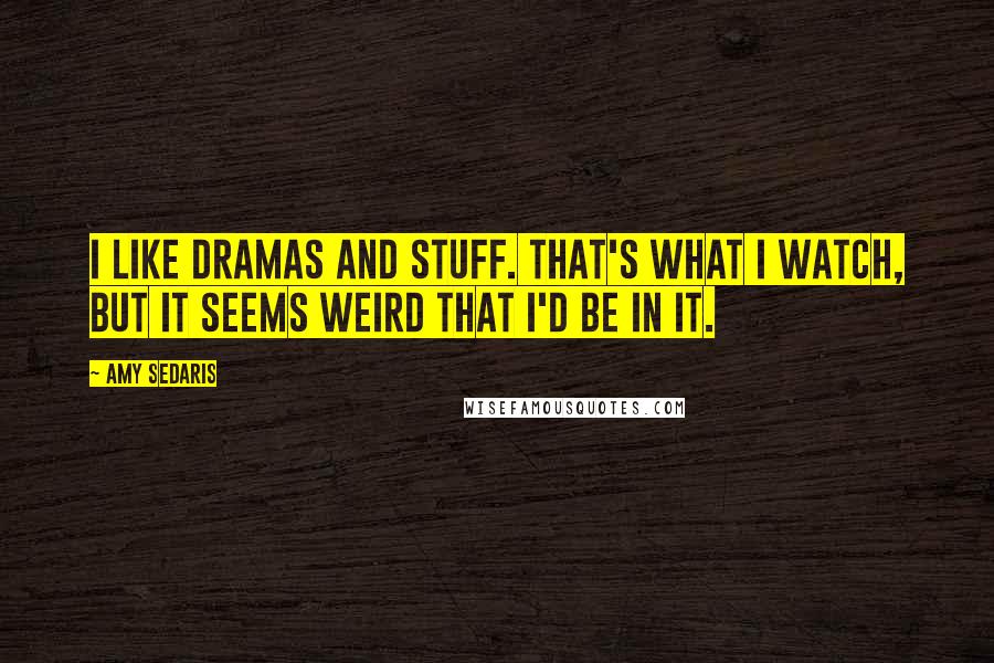 Amy Sedaris Quotes: I like dramas and stuff. That's what I watch, but it seems weird that I'd be in it.