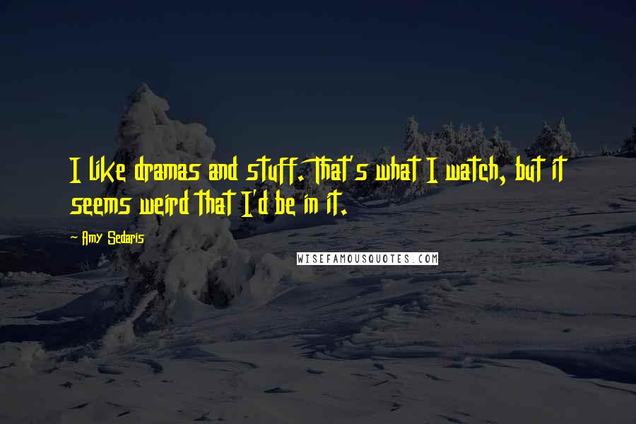 Amy Sedaris Quotes: I like dramas and stuff. That's what I watch, but it seems weird that I'd be in it.