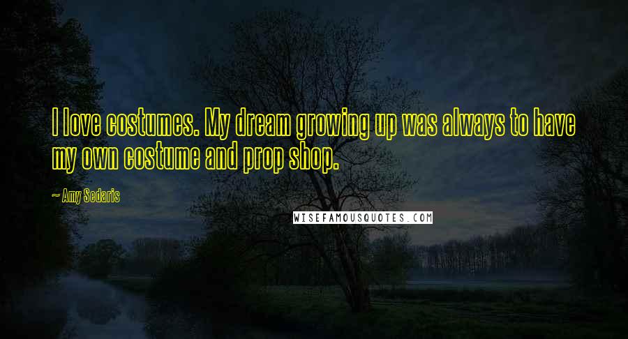 Amy Sedaris Quotes: I love costumes. My dream growing up was always to have my own costume and prop shop.