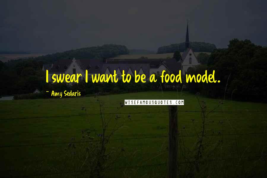 Amy Sedaris Quotes: I swear I want to be a food model.