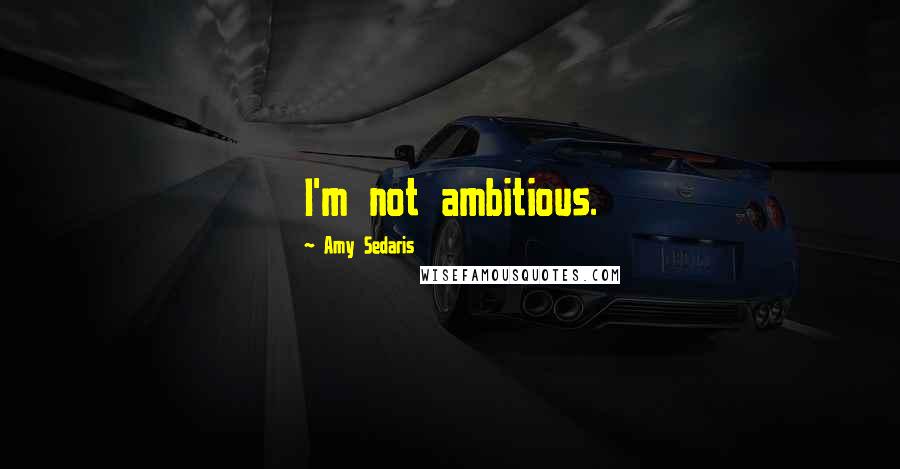 Amy Sedaris Quotes: I'm not ambitious.