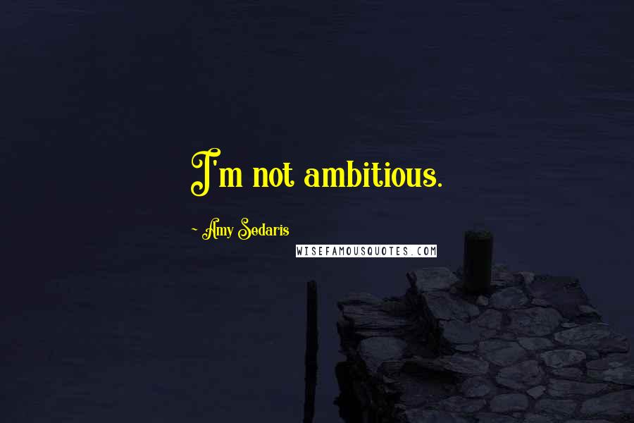 Amy Sedaris Quotes: I'm not ambitious.