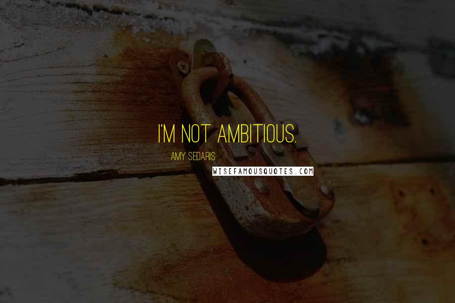 Amy Sedaris Quotes: I'm not ambitious.