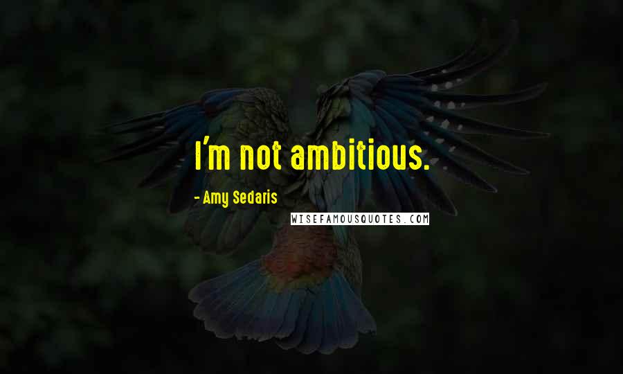 Amy Sedaris Quotes: I'm not ambitious.