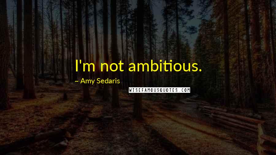 Amy Sedaris Quotes: I'm not ambitious.