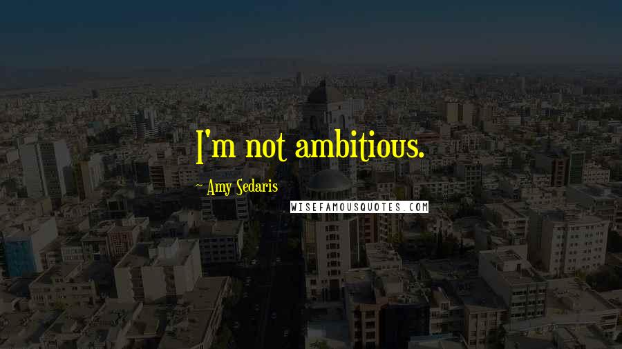 Amy Sedaris Quotes: I'm not ambitious.