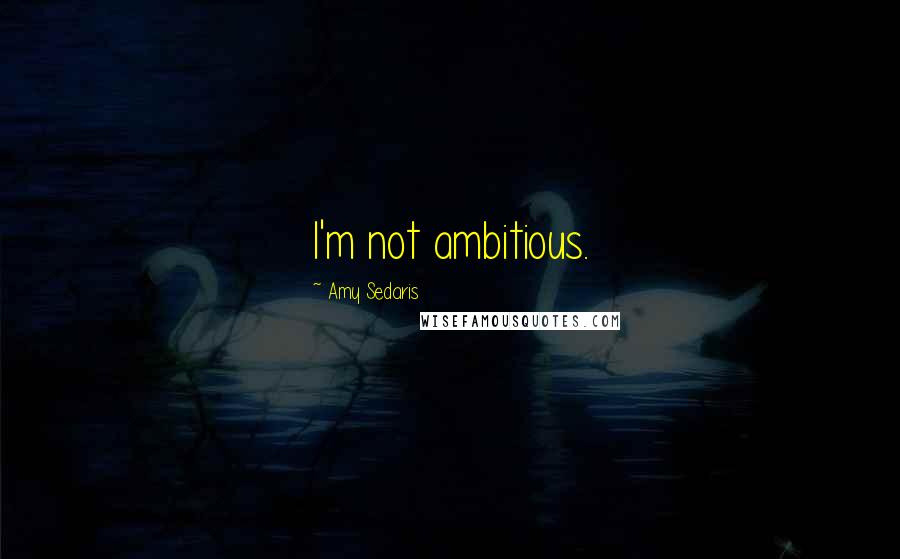 Amy Sedaris Quotes: I'm not ambitious.