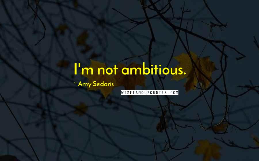 Amy Sedaris Quotes: I'm not ambitious.