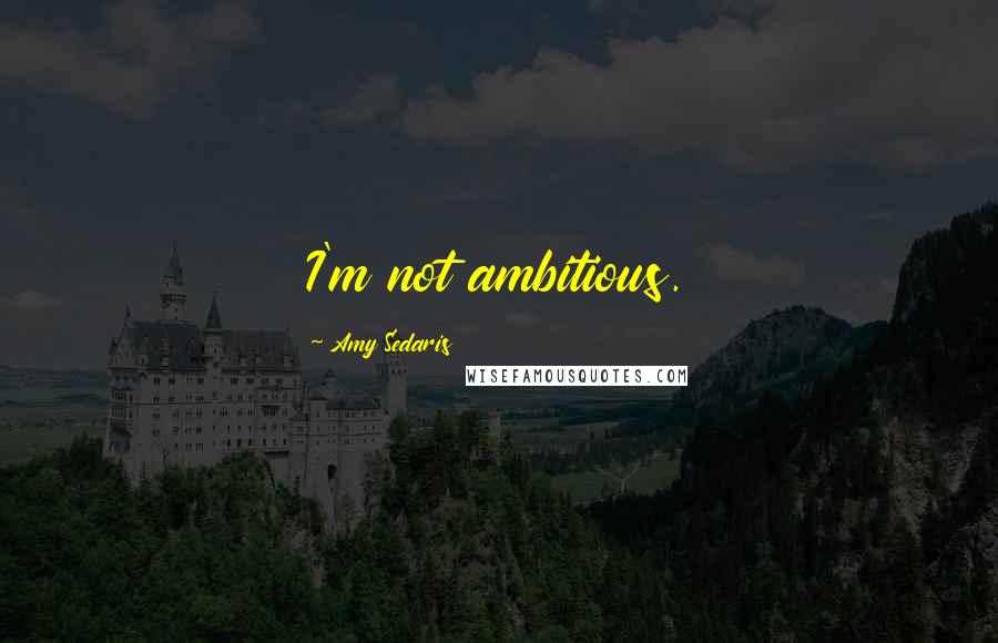 Amy Sedaris Quotes: I'm not ambitious.