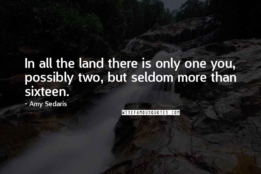 Amy Sedaris Quotes: In all the land there is only one you, possibly two, but seldom more than sixteen.