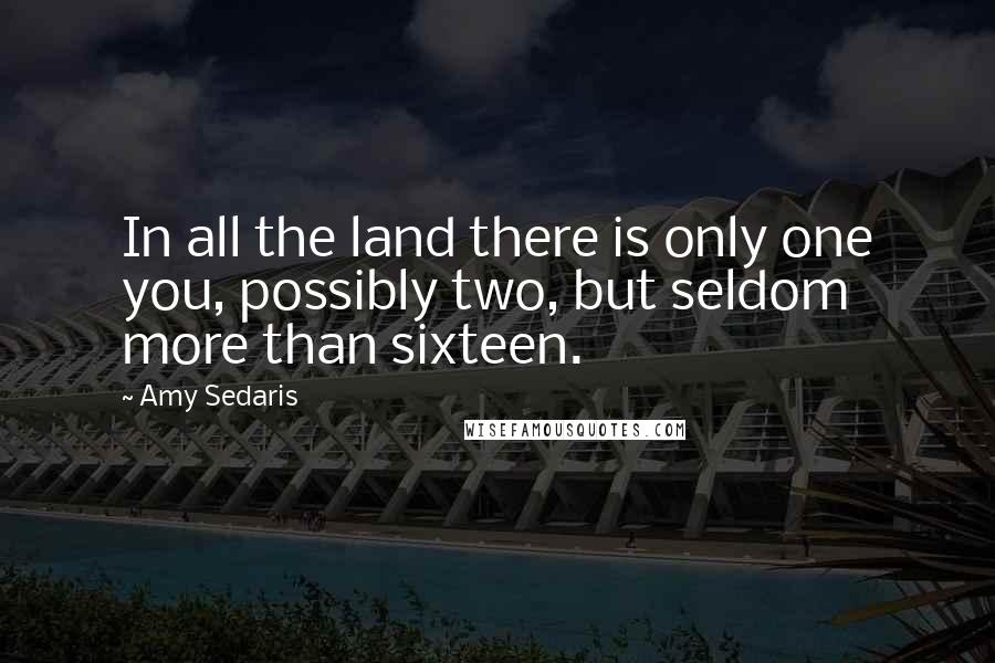 Amy Sedaris Quotes: In all the land there is only one you, possibly two, but seldom more than sixteen.