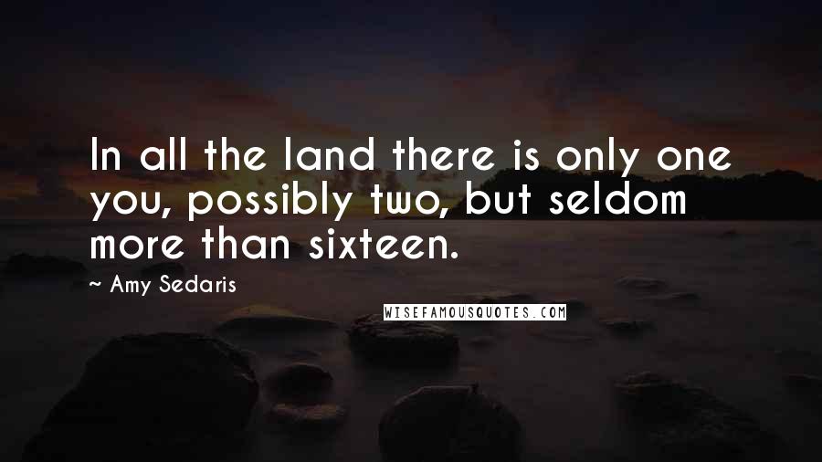 Amy Sedaris Quotes: In all the land there is only one you, possibly two, but seldom more than sixteen.