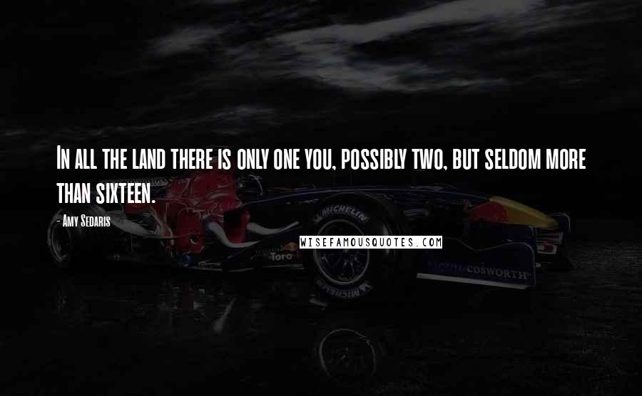 Amy Sedaris Quotes: In all the land there is only one you, possibly two, but seldom more than sixteen.