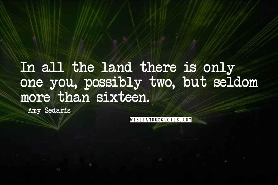 Amy Sedaris Quotes: In all the land there is only one you, possibly two, but seldom more than sixteen.