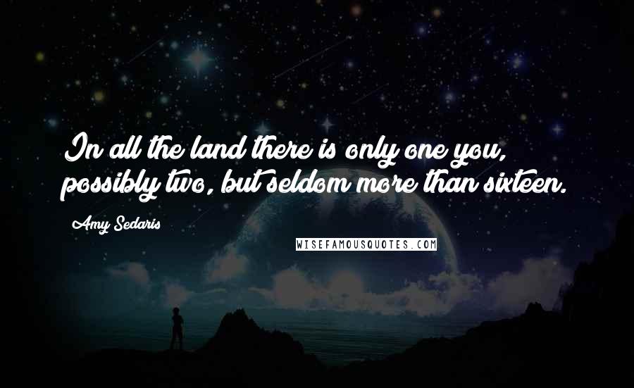 Amy Sedaris Quotes: In all the land there is only one you, possibly two, but seldom more than sixteen.