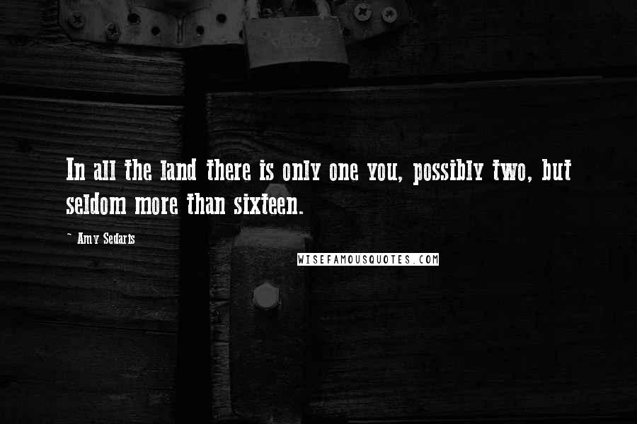 Amy Sedaris Quotes: In all the land there is only one you, possibly two, but seldom more than sixteen.