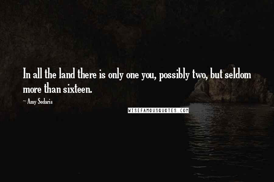 Amy Sedaris Quotes: In all the land there is only one you, possibly two, but seldom more than sixteen.