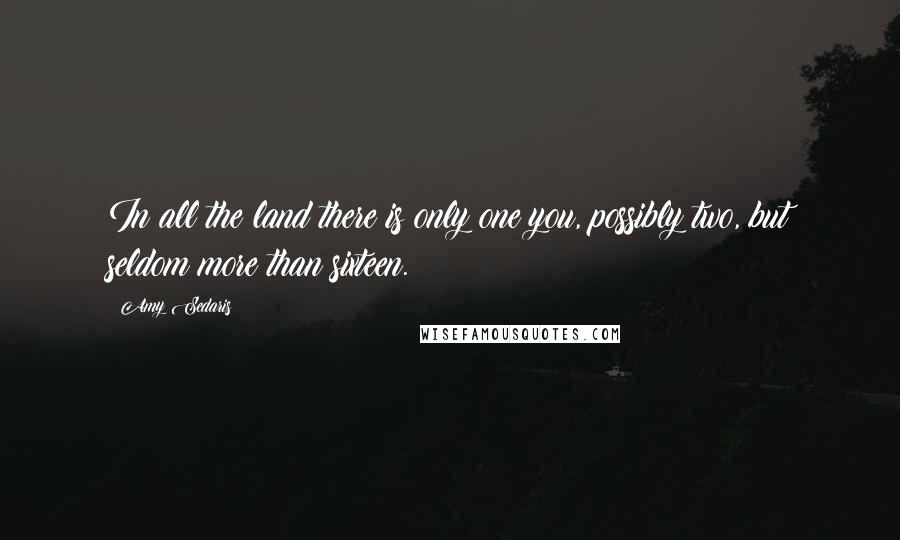 Amy Sedaris Quotes: In all the land there is only one you, possibly two, but seldom more than sixteen.