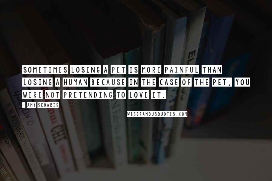 Amy Sedaris Quotes: Sometimes losing a pet is more painful than losing a human because in the case of the pet, you were not pretending to love it.