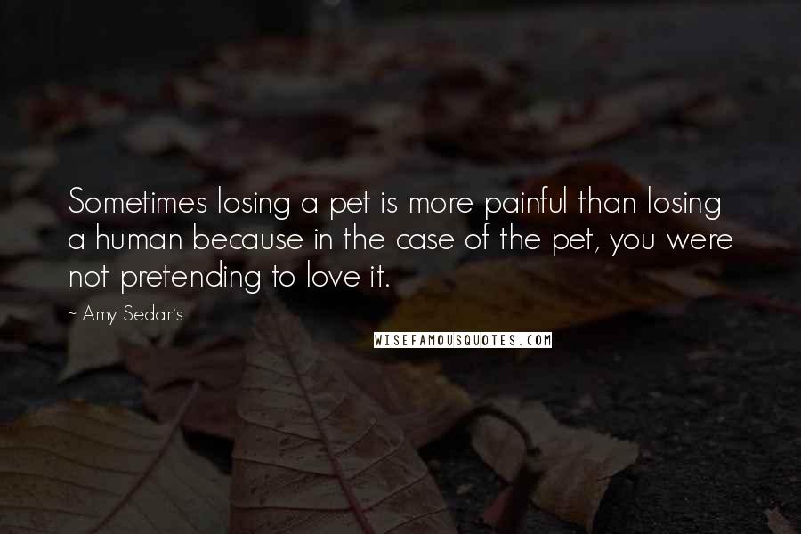 Amy Sedaris Quotes: Sometimes losing a pet is more painful than losing a human because in the case of the pet, you were not pretending to love it.