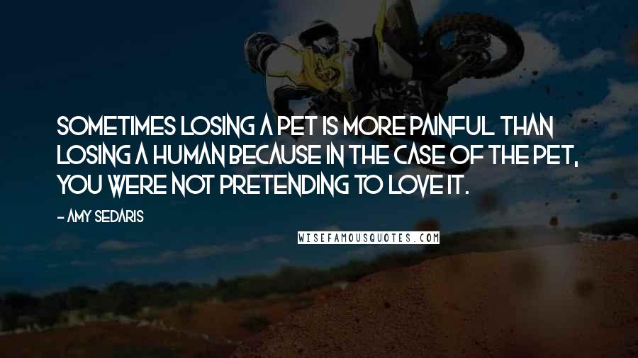 Amy Sedaris Quotes: Sometimes losing a pet is more painful than losing a human because in the case of the pet, you were not pretending to love it.