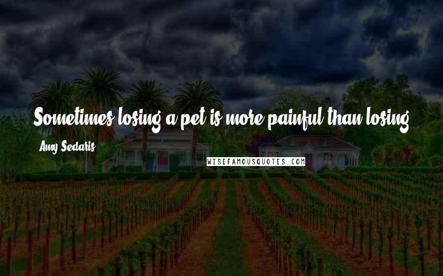 Amy Sedaris Quotes: Sometimes losing a pet is more painful than losing a human because in the case of the pet, you were not pretending to love it.