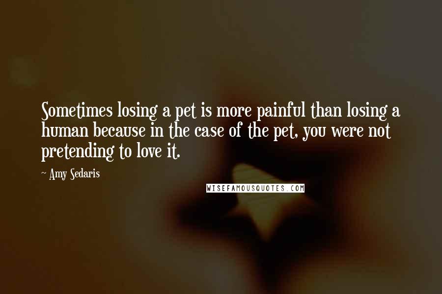 Amy Sedaris Quotes: Sometimes losing a pet is more painful than losing a human because in the case of the pet, you were not pretending to love it.