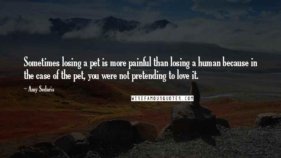 Amy Sedaris Quotes: Sometimes losing a pet is more painful than losing a human because in the case of the pet, you were not pretending to love it.