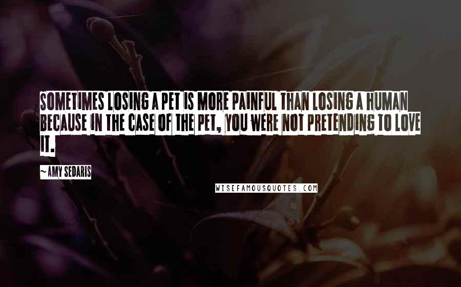 Amy Sedaris Quotes: Sometimes losing a pet is more painful than losing a human because in the case of the pet, you were not pretending to love it.