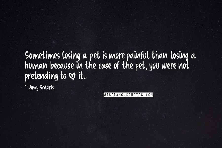 Amy Sedaris Quotes: Sometimes losing a pet is more painful than losing a human because in the case of the pet, you were not pretending to love it.