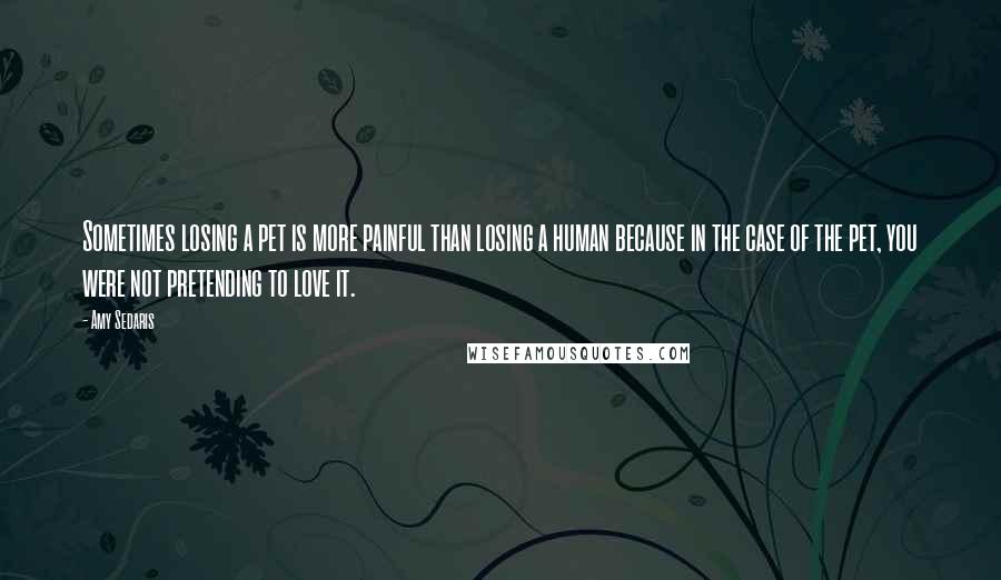 Amy Sedaris Quotes: Sometimes losing a pet is more painful than losing a human because in the case of the pet, you were not pretending to love it.