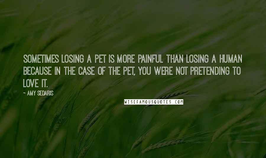 Amy Sedaris Quotes: Sometimes losing a pet is more painful than losing a human because in the case of the pet, you were not pretending to love it.