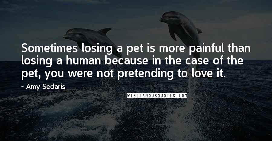 Amy Sedaris Quotes: Sometimes losing a pet is more painful than losing a human because in the case of the pet, you were not pretending to love it.